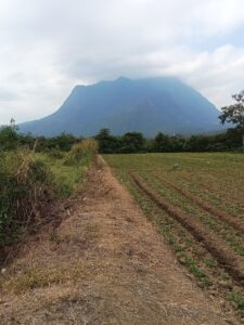 ที่ดินดอยหลวงเชียงดาว