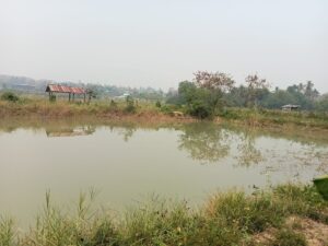 ที่ดินมีโฉนดเชียงดาว