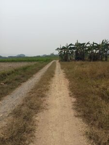 ที่ดินมีโฉนดเชียงดาว
