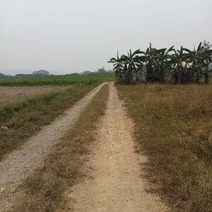 ที่ดินมีโฉนดเชียงดาว