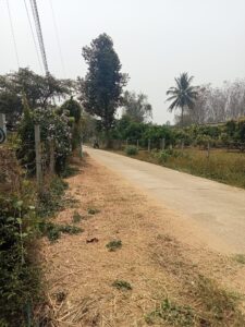 ที่ดินเชียงดาว