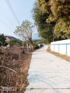 ที่ดินเชียงดาวว01