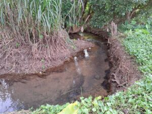 ที่ดินเชียงดาววิวดอยหลวง_3